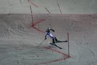 «Кубок чемпионов» FIS по параллельному слалому, Москва 2009