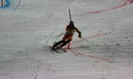 «Кубок чемпионов» FIS по параллельному слалому, Москва 2009